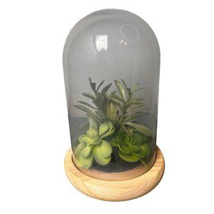 Succulent Terrarium Glass Wood Base Faux Plants Decorative Globe Centerpiece